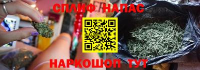 трава Будённовск