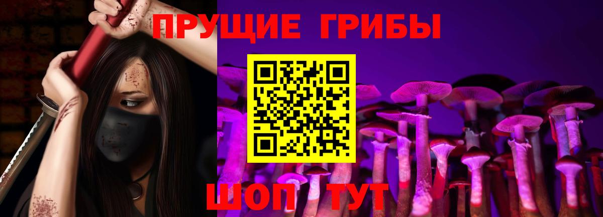 Псилоцибиновые грибы мухоморы Ногинск